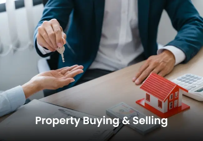 NAS Luxury Real Estate LLC